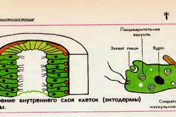 Что с кракеном сайт на сегодня